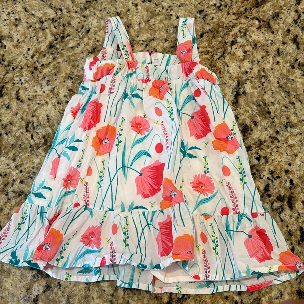 Baby Gap Floral Dress